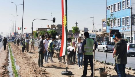 Kurdistan wird grüner